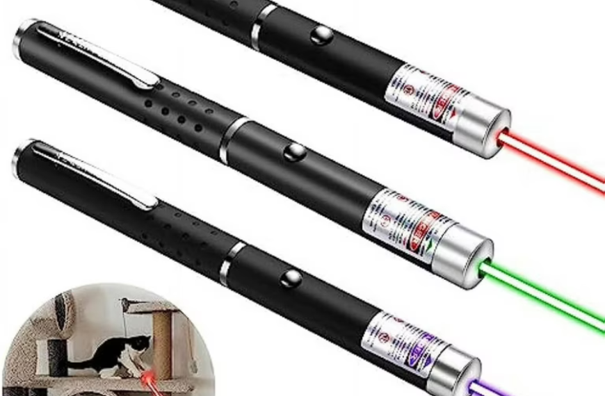 laser pointer chaser