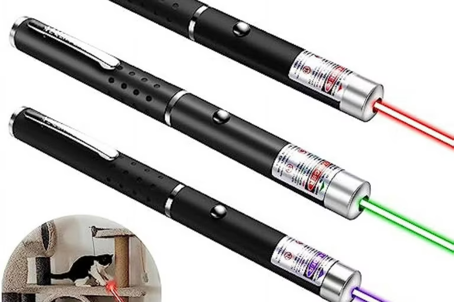 laser pointer chaser