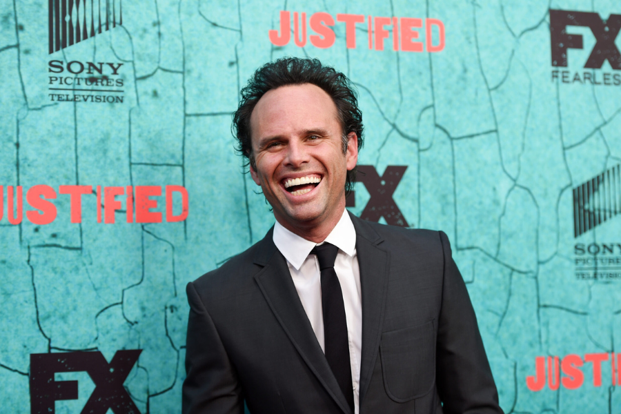 walton goggins net worth